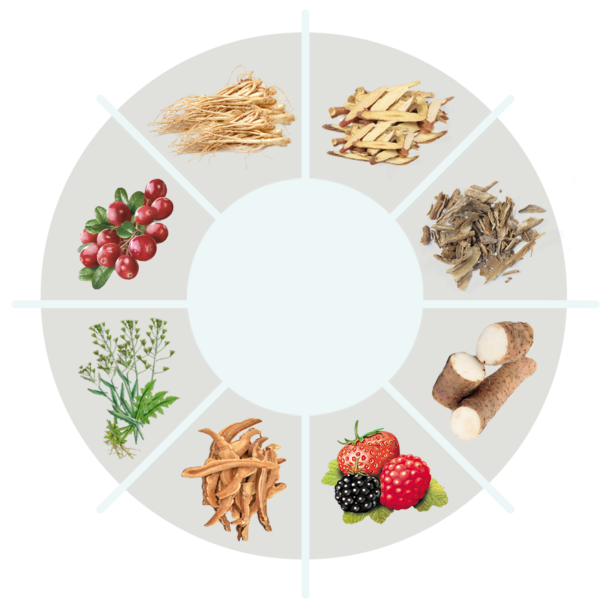 VigorX Pro ingredient label and ingredient circle